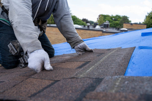 Best Roof Gutter Cleaning  in Richfield Springs, NY